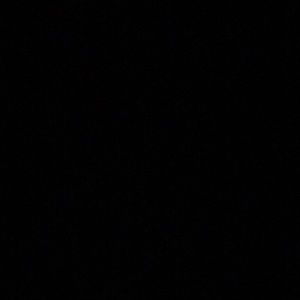 Meet your Posher, Precious